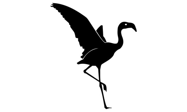 stylish flamingo silhouette