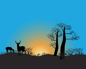 African wildlife background. Sunset vector nature background.