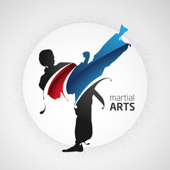 karate kick silhouette splash martial arts - obrazy, fototapety, plakaty