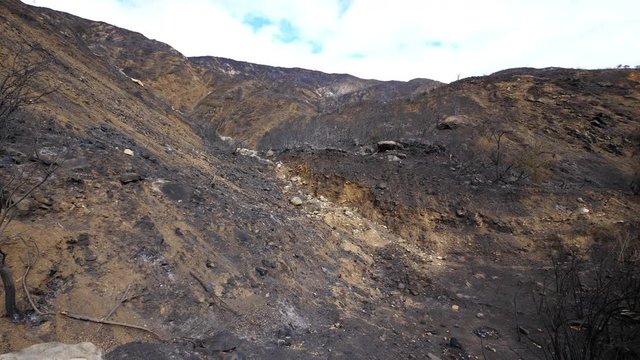 Burnt Hillside from Thomas Fire in California