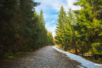 Fototapeta na wymiar Hiking trail in Tatra mountains, Poland
