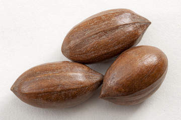 Closeup on a bunch of three pecan nuts still in the shell isolated on white background