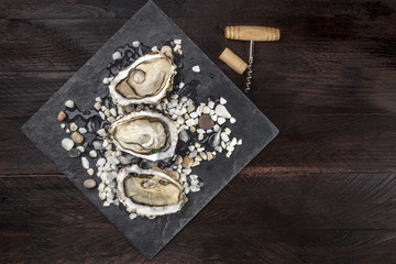Overhead photo of oysters with wine cork and corkscrew and copy space