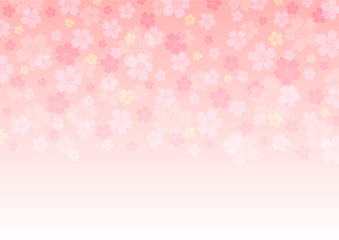 Cherry blossoms background illustration. Spring season banner.