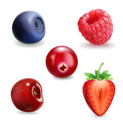 Realistic berry set. Strawberry, raspberry, blueberries, cherry black currant illustration