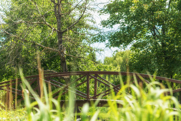 Summer footpath in the city park with a bridge on a sunny day