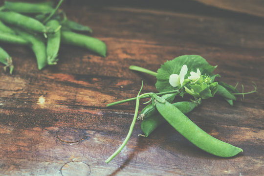 Pods of green peas and pea on a dark wooden surface. Vintage wooden surface for design with beautifully located pods of green peas. Toned and coloring photo. Shallow depth of field.