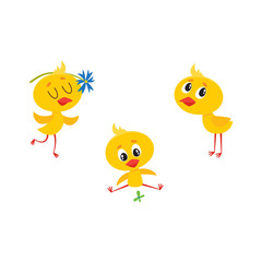 vector cartoon cute baby chicken characters set. Yellow small funny chicks playing with butterfly, flower and standing alone. Flat bird animal, isolated illustration on a white background.