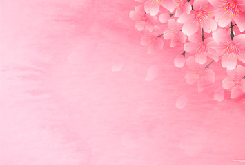 Obraz premium 桜 春 花 背景 