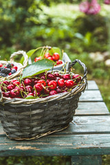 Fresh forest fruit on wood