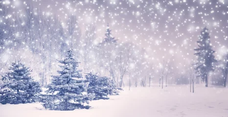 Foto op Plexiglas Winter Kerstachtergrond met sparren