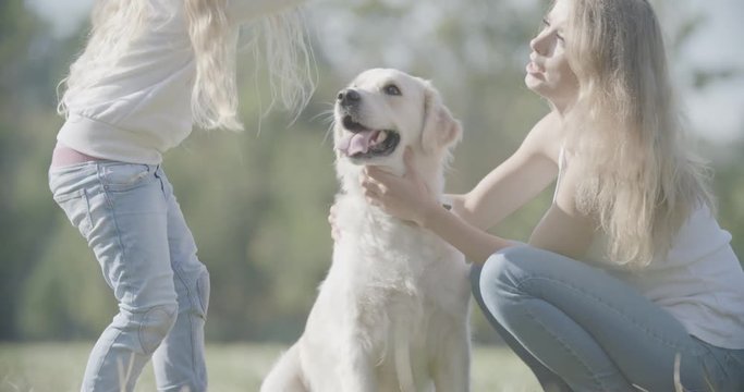 Labrador Golden Retriver Dog Playing in the Park with Mom & Young Girl, Cute Adorable Blonde Child & Mom having Fun Outside in the Park, Happy Summer Day , Animal Lovers Commercial Video 4K Sony 