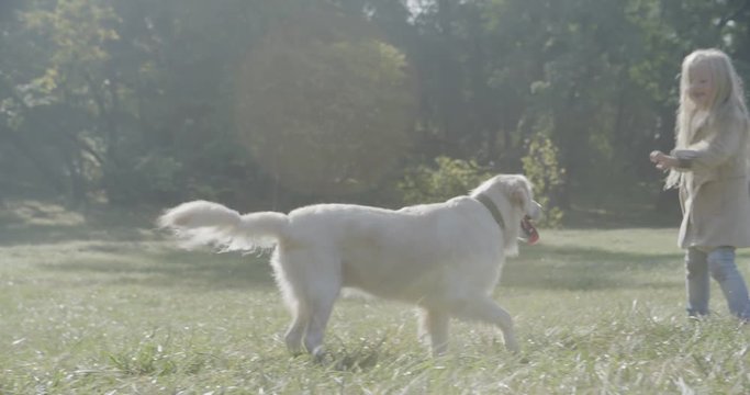 Labrador Golden Retriver Dog Playing in the Park with Mom & Young Girl, Cute Adorable Blonde Child & Mom having Fun Outside in the Park, Happy Summer Day , Animal Lovers Commercial Video 4K Sony 