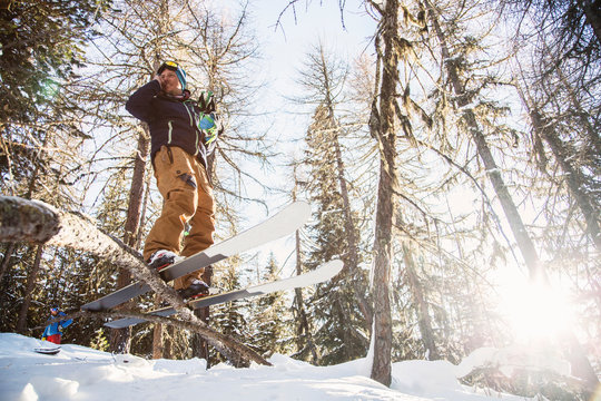Skier, wearing skis, balancing on tree, low angle view