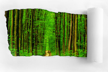 Fototapety na wymiar - Fototapeta24.pl
