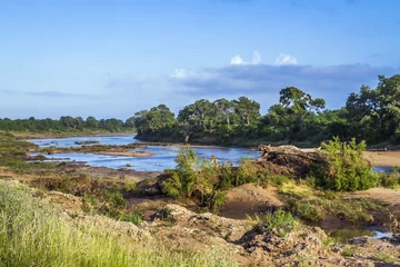 Fotobehang Riverside landscape in Kruger National park, South Africa © PACO COMO