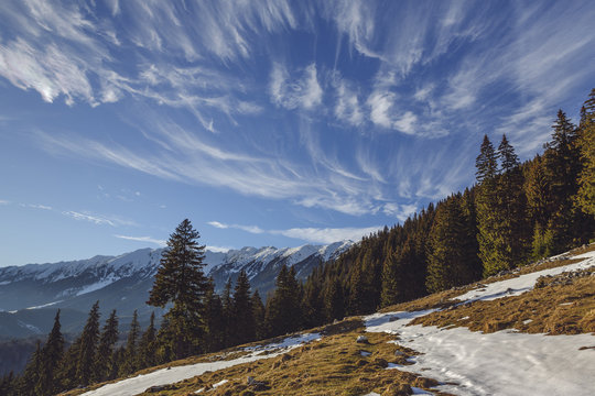 Zanoaga meadow, Piatra Craiului National Park, Romania