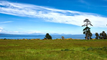 Obraz premium Snow capped peak of Mount Ruapehu covered by clouds seen across Lake Taupo in New Zealand