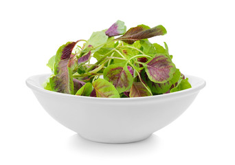 spinach in a bowl on white background
