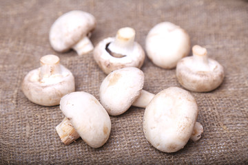 Champignon mushrooms on a linen background