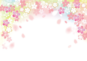 桜 フレームふわり カラー