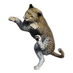 3D Rendering Big Cat Leopard on White