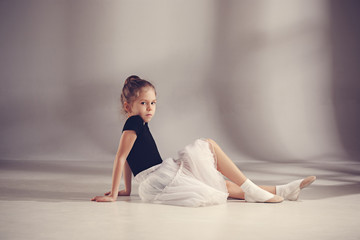 The little balerina dancer on gray background © master1305
