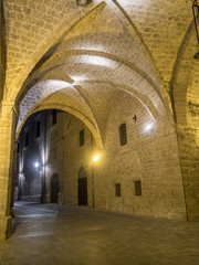 Rieti (Italy), historic buildings at evening