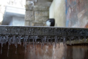 Cristalli di ghiaccio in una fontana