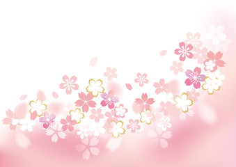 桜 フレームふわり 下 カラー