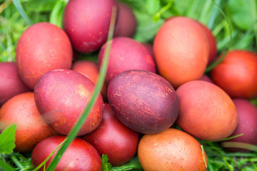 Red easter eggs on the grass with flowers and blowballs, naturally colored easter eggs with onion husks. Happy Easter, Christian religious holiday.