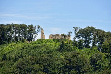 Freiburg Breisgau  Burgruine Schneeburg