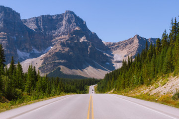 Fototapeta premium Scenic Icefields Parkway highway in Rocky Mountains, Alberta, Canada on sunny day
