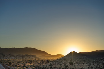 Fototapeta na wymiar Sunrise over Joshua Tree National Park