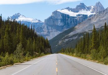 Fototapeta premium Scenic Icefields Parkway highway in Rocky Mountains, Alberta, Canada on sunny day