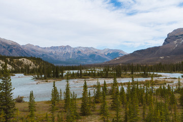 Scenic remote wide valley with river and forest in Rocky Mountains in Canada on cloudy day