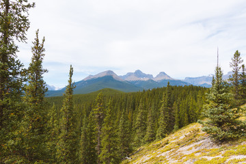 Beautiful hike trail above tree line in Rocky Mountains in Canada on sunny day