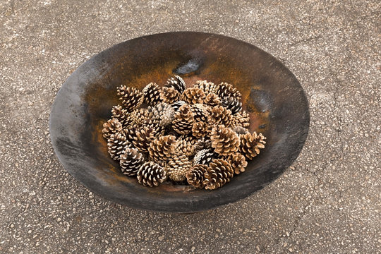 Pine Tree Cones in a Bowl