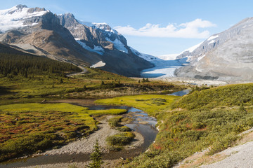 Colorful valley with meadow and river and Athabasca Glacier in the Background during sunrise