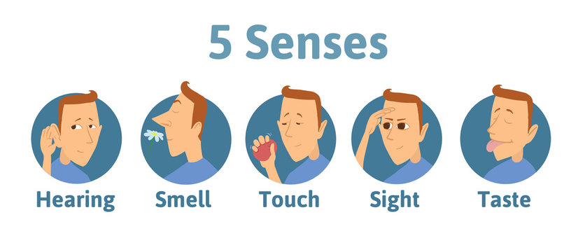 Set of five human senses icon: hearing, smell, touch, vision, taste. Icons with funny man character in circles. Vector illustration for kids, isolated on white background.