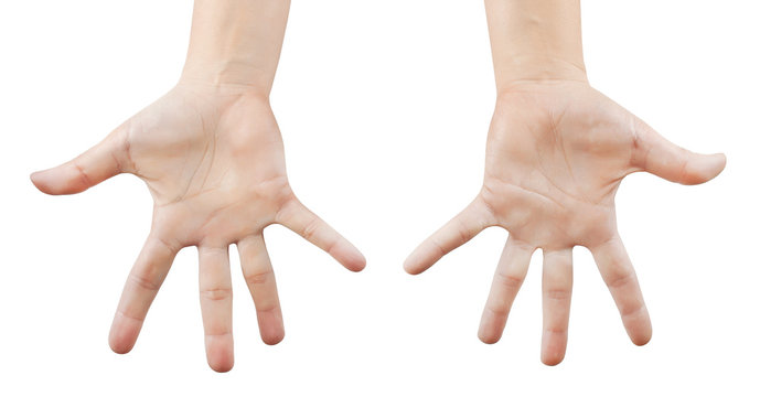 Open palms with splayed fingers on a white background. Isolated.