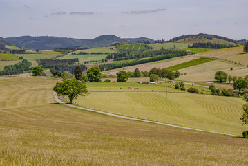 Fototapeta premium Sauerland