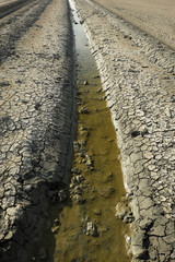 crack dry soil background