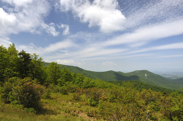 View from Shenandoah Skyline Drive, Virginia