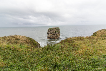 Marsden Rock from cliff