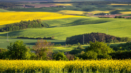 Green summer landscape scenic view