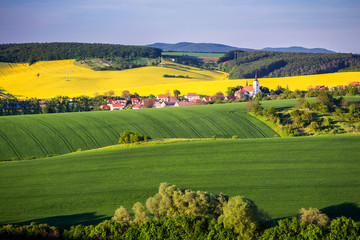 Endless Green Fields, Rolling Hills, Tractor Tracks, Spring Landscape under Blue Sky. South...
