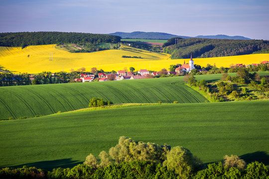 Endless Green Fields, Rolling Hills, Tractor Tracks, Spring Landscape under Blue Sky. South Moravia, Czech Republic