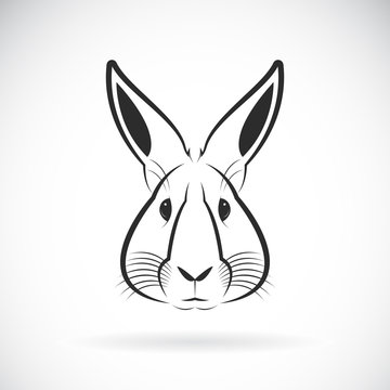 Vector of a rabbit head design on white background. Wild Animals. Vector illustration.