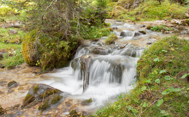 A stream flows in the forest, Italian Alps